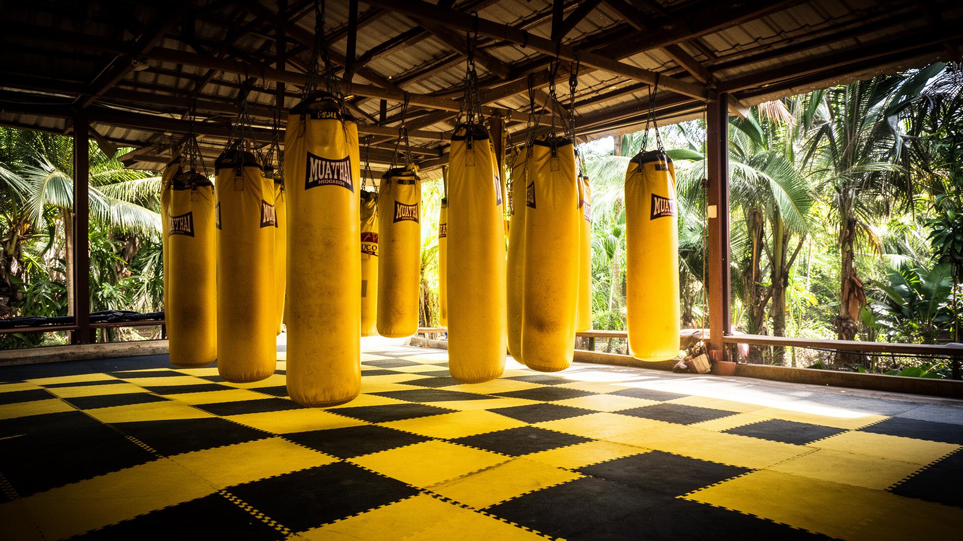 Yellow heavy bags hanging in the Twin Tigers ring